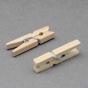 1" Clothes Pegs - 100pk