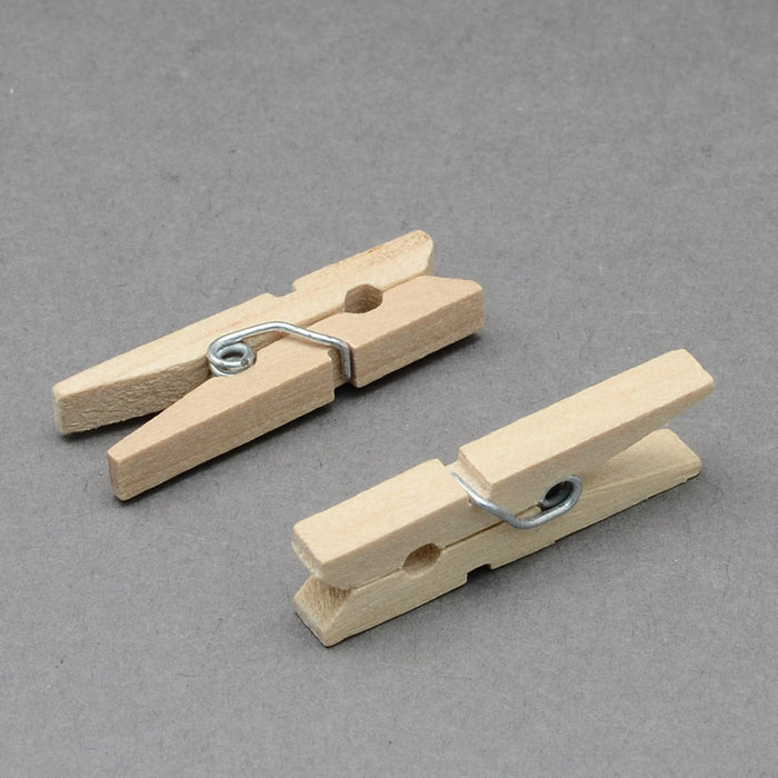1" Clothes Pegs - 100pk