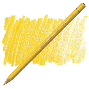 Polychromos Artist Coloured Pencils