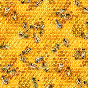 Honeybees and Beehives