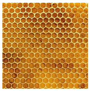 Ella & Viv 100% Natural Single-Sided - Honeycomb