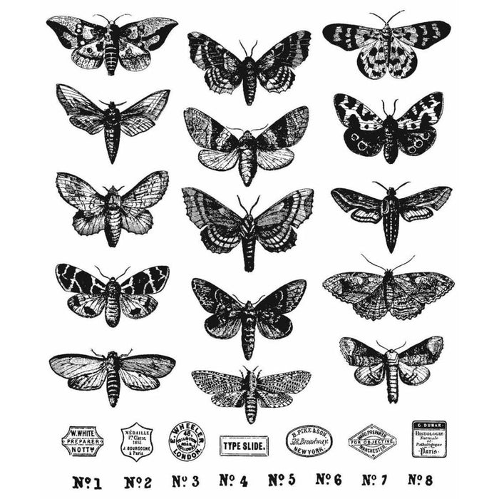 Tim Holtz - Moth Study