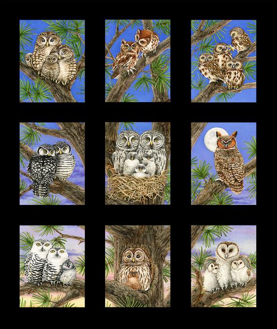 Owl Families Panel