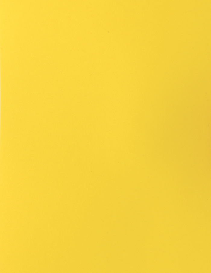 ColorMates 65lb. Cover - 8 1/2"x 11" - Deep Sunshine Yellow