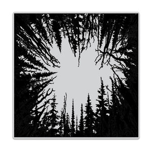 Hero Arts Bold Prints - Cathedral Of Trees