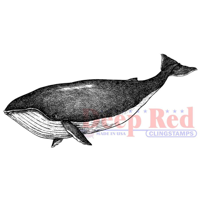 Deep Red Cling Stamp - Whale
