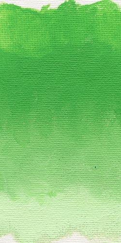 Williamsburg Oil Paint - 37ml - Greens